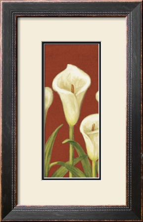 White Cala Lilies by Cuca Garcia Pricing Limited Edition Print image