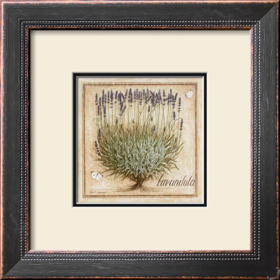 Lavandula by Vincent Jeannerot Pricing Limited Edition Print image