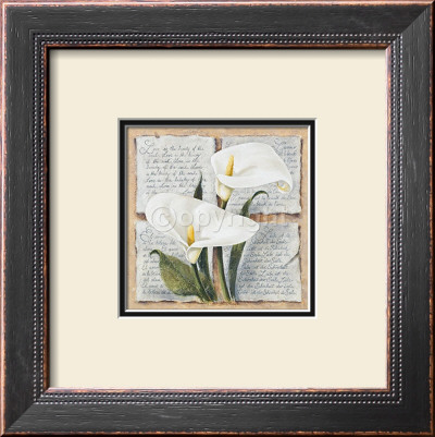 Calla Lily Poetry by Laura Martinelli Pricing Limited Edition Print image