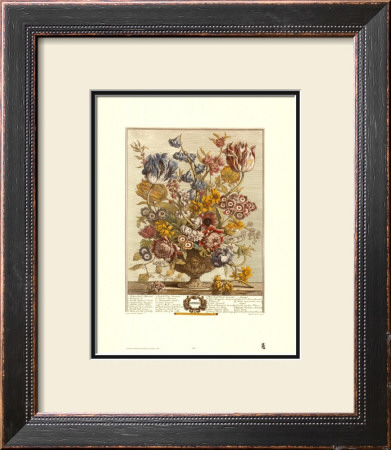 Twelve Months Of Flowers, 1730, April by Robert Furber Pricing Limited Edition Print image