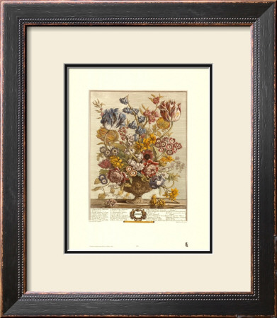 Twelve Months Of Flowers, 1730, April by Robert Furber Pricing Limited Edition Print image