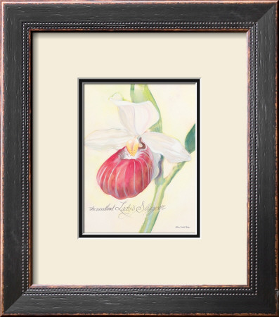 Raspberry Orchid by Elissa Della-Piana Pricing Limited Edition Print image
