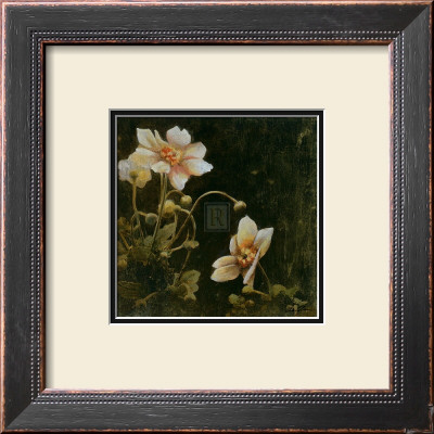 Midsummer Night Bloom I by John Douglas Pricing Limited Edition Print image