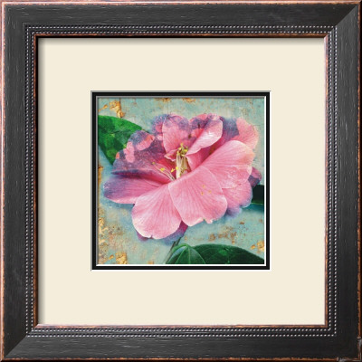 Camelia by Marion Mcconaghie Pricing Limited Edition Print image