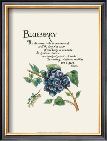 Blueberry by G. Phillips Pricing Limited Edition Print image