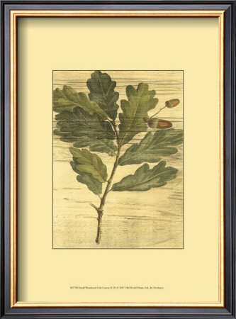 Weathered Oak Leaves Ii by Deshayes Pricing Limited Edition Print image