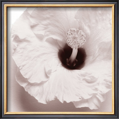Blossom Iv by J.K. Driggs Pricing Limited Edition Print image