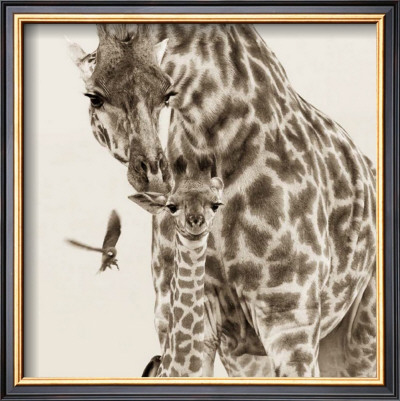 Precious Moments Iv by Susann & Frank Parker Pricing Limited Edition Print image