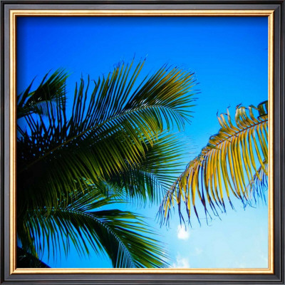 Palmirage by Jean-Francois Dupuis Pricing Limited Edition Print image