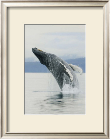 The Breach by Susann & Frank Parker Pricing Limited Edition Print image