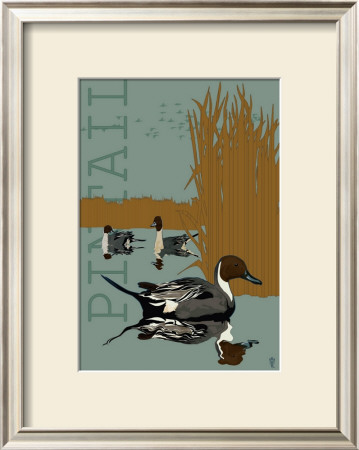 Pintail by Michael Lavasseur Pricing Limited Edition Print image