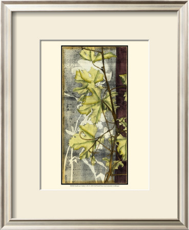 Leaf Medley I by Jennifer Goldberger Pricing Limited Edition Print image