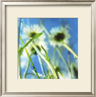 Daisies Ii by Ingrid Blixt Pricing Limited Edition Print image