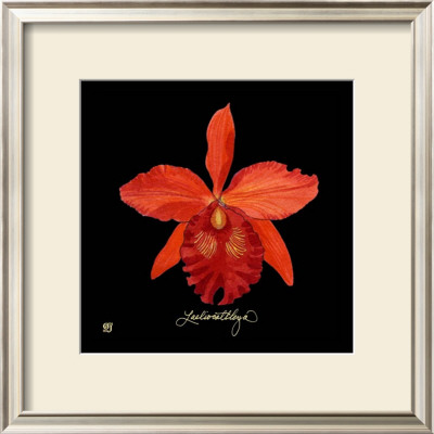 Vivid Orchid Ix by Ginny Joyner Pricing Limited Edition Print image