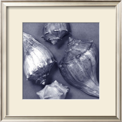 Shell Convergence Iii by Renee Stramel Pricing Limited Edition Print image