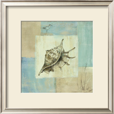 Sea Finds Iv by Lisa Audit Pricing Limited Edition Print image