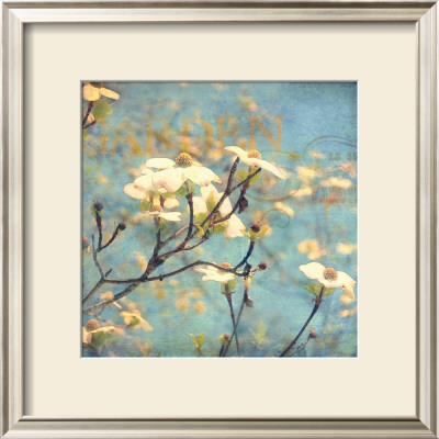 Dogwood Ii by Amy Melious Pricing Limited Edition Print image