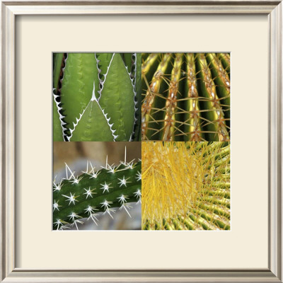 Prickles by Susann & Frank Parker Pricing Limited Edition Print image