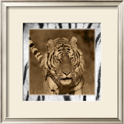 Tiger Views by Susann & Frank Parker Pricing Limited Edition Print image