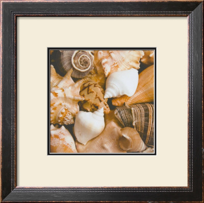 Beachside Shells by Boyce Watt Pricing Limited Edition Print image