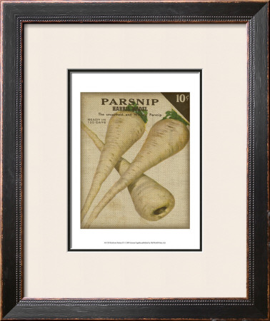 Heirloom Variety Iv by Jarman Fagalde Pricing Limited Edition Print image