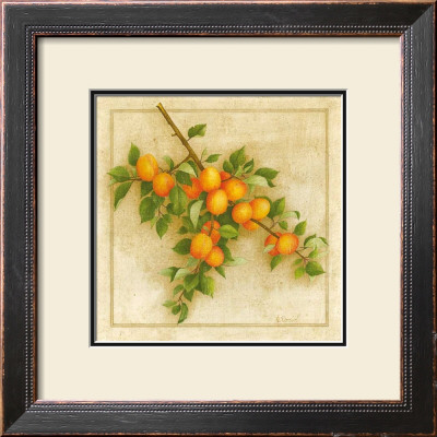 Abricots De Nancy by Vincent Perriol Pricing Limited Edition Print image