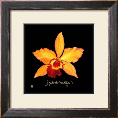 Vivid Orchid Vi by Ginny Joyner Pricing Limited Edition Print image