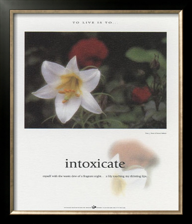 Intoxicate by Francis Pelletier Pricing Limited Edition Print image