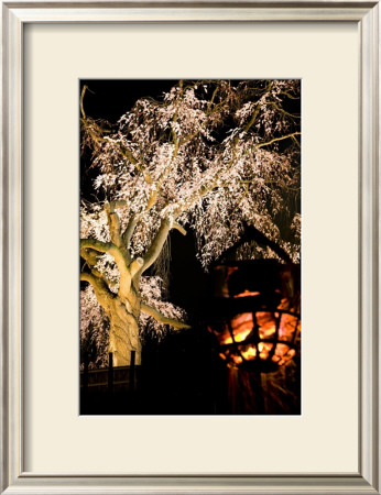 Kyoto In Spring, Cherry Blossoms In The Evening by Takashi Kirita Pricing Limited Edition Print image