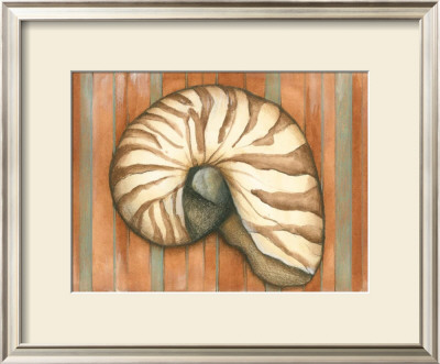 Shell On Stripes Iv by Laura Nathan Pricing Limited Edition Print image