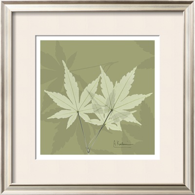 Color Me Maple Green I by Albert Koetsier Pricing Limited Edition Print image