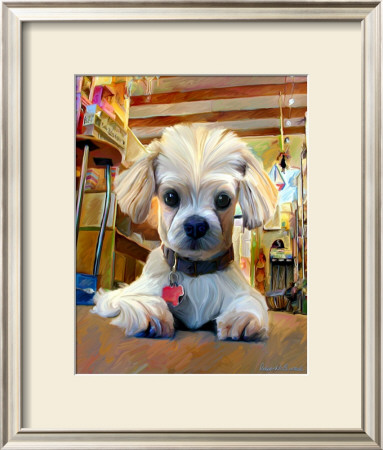 Mazel Dog by Robert Mcclintock Pricing Limited Edition Print image