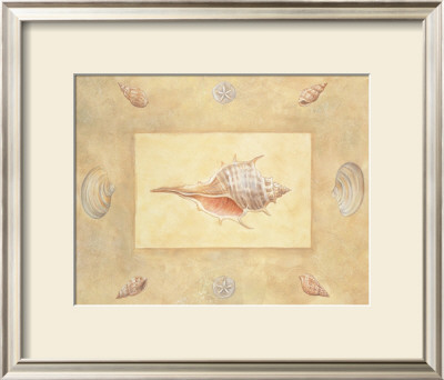 Shells Ii by Bell Pricing Limited Edition Print image