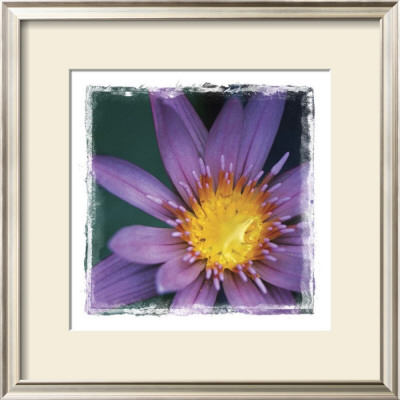 Flower Power Iv by Susann & Frank Parker Pricing Limited Edition Print image