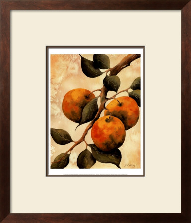Italian Harvest, Oranges by Doris Allison Pricing Limited Edition Print image
