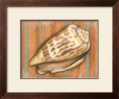 Shell On Stripes Iii by Laura Nathan Pricing Limited Edition Print image