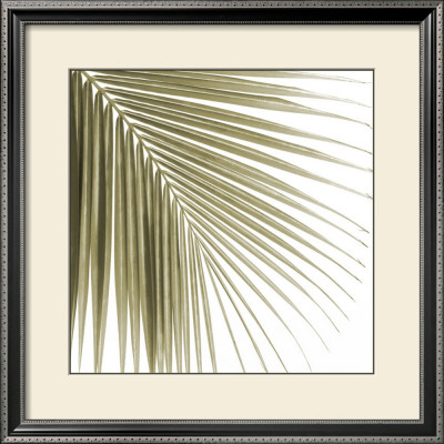 Palm Study Vi by Studio El Collection Pricing Limited Edition Print image