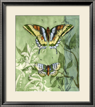 Embellished Vibrant Butterflies Ii by Jennifer Goldberger Pricing Limited Edition Print image