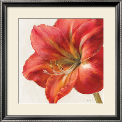 Vivid Amaryllis by Danhui Nai Pricing Limited Edition Print image