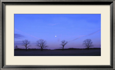 Moonrise by Alicia Ludwig Pricing Limited Edition Print image