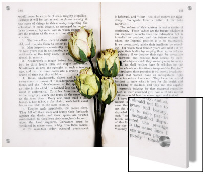Dried Roses On Old Book by N.O. Pricing Limited Edition Print image