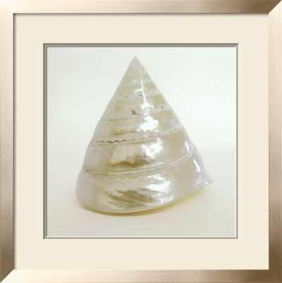 Shell I by Darlene Shiels Pricing Limited Edition Print image