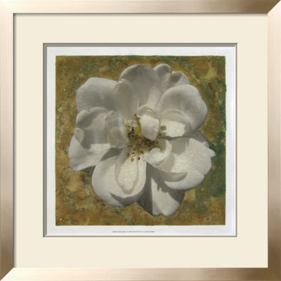 Golden Bloom Ii by Megan Meagher Pricing Limited Edition Print image