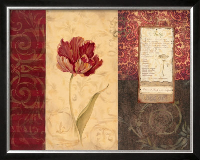 Tulip Montage by Carol Robinson Pricing Limited Edition Print image