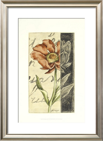 Floral Engraving I by Ethan Harper Pricing Limited Edition Print image