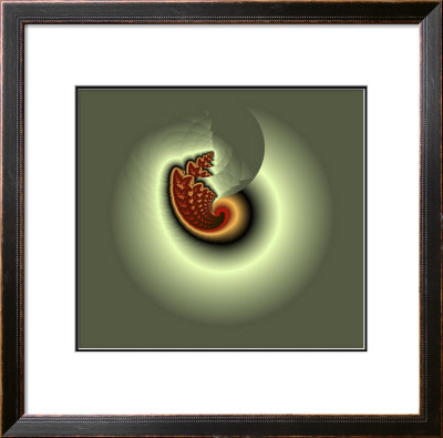 Nautilus by Bee Smith Pricing Limited Edition Print image