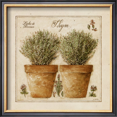 Herbes De Provence, Thym by Pascal Cessou Pricing Limited Edition Print image