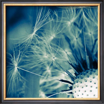 Flofy by Jean-Francois Dupuis Pricing Limited Edition Print image