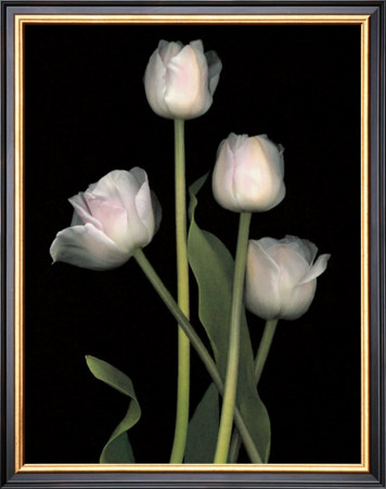 Spring Song I by S. G. Rose Pricing Limited Edition Print image