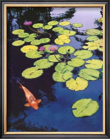 Koi Pond I by Maureen Love Pricing Limited Edition Print image